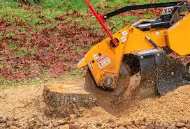 Lawn Renovation and Restoration in Plymouth, CA